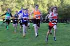 Boys under-15s, 2022 NECAA Cross Country Relays, Thornley Hall Farm, Peterlee, County Durham, October 15th. Photo: David T. Hewitson/Sports for All Pics